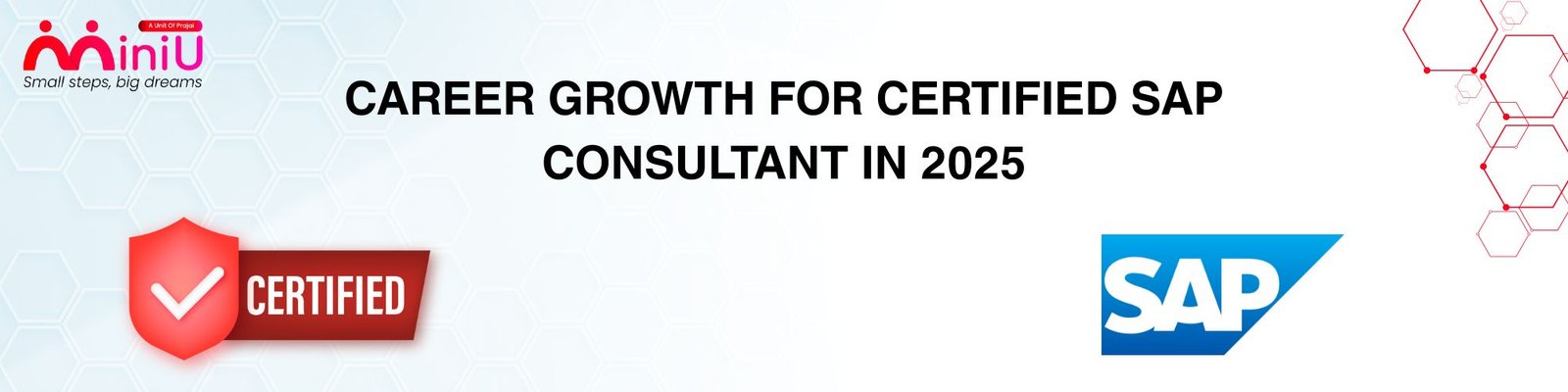 Career Growth for Certified SAP Consultant in 2025 | MiniU